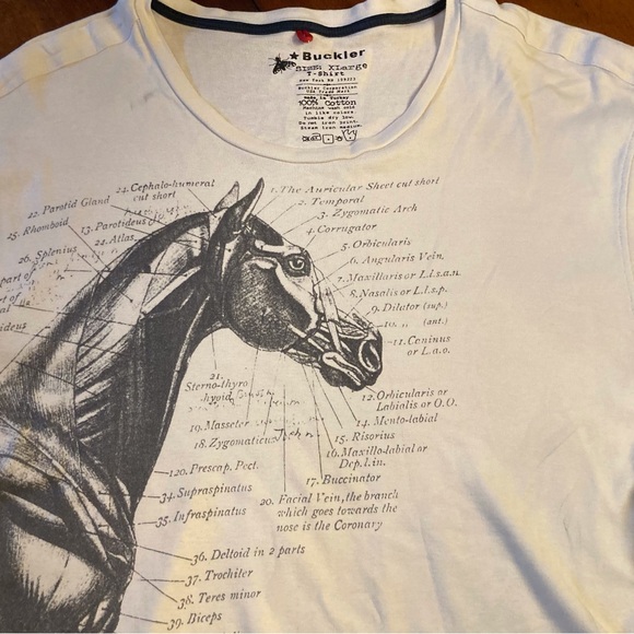 Buckler unisex cotton tee shirt Equine anatomy illustration in gray on off white - Picture 6 of 10